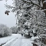 Schwarzwald * Schömberg