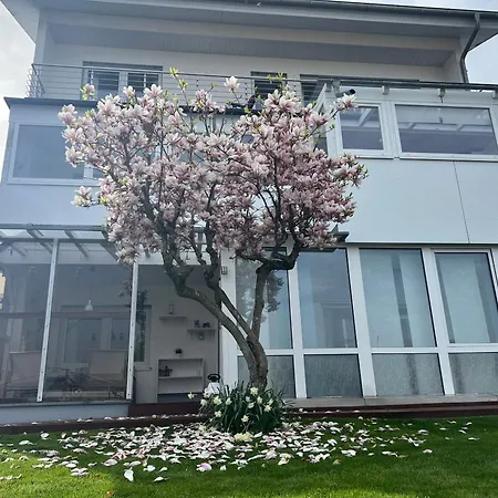 公寓 Schwarzwald Schömberg