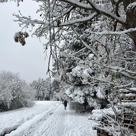 Schwarzwald * Schömberg