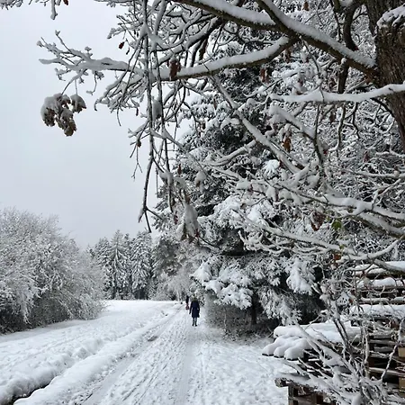 Schwarzwald * Schömberg