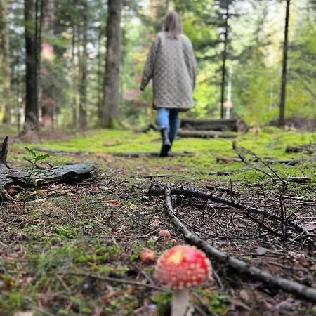 Schwarzwald Appartamento *