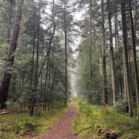 Schwarzwald Appartamento